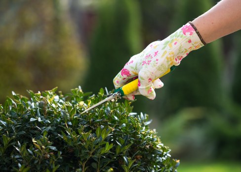 Gardener Raynes Park team working in a lush garden