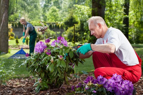 Gardener consulting with a homeowner in a Raynes Park garden