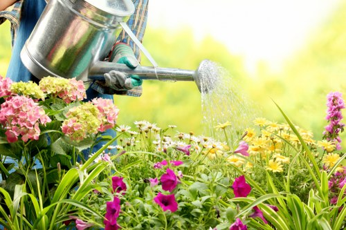 Seasonal lawn care activities by Raynes Park professionals