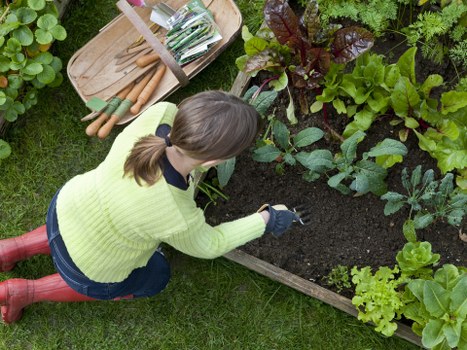 Garden clearance team removing debris from a suburban Raynes Park garden