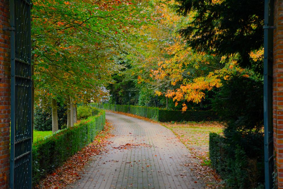 A brick and wrought iron gate opens onto a gently curving cobblestone driveway lined with well-maintained green hedges and mature trees with leaves turning orange and yellow, indicating autumn. The dr