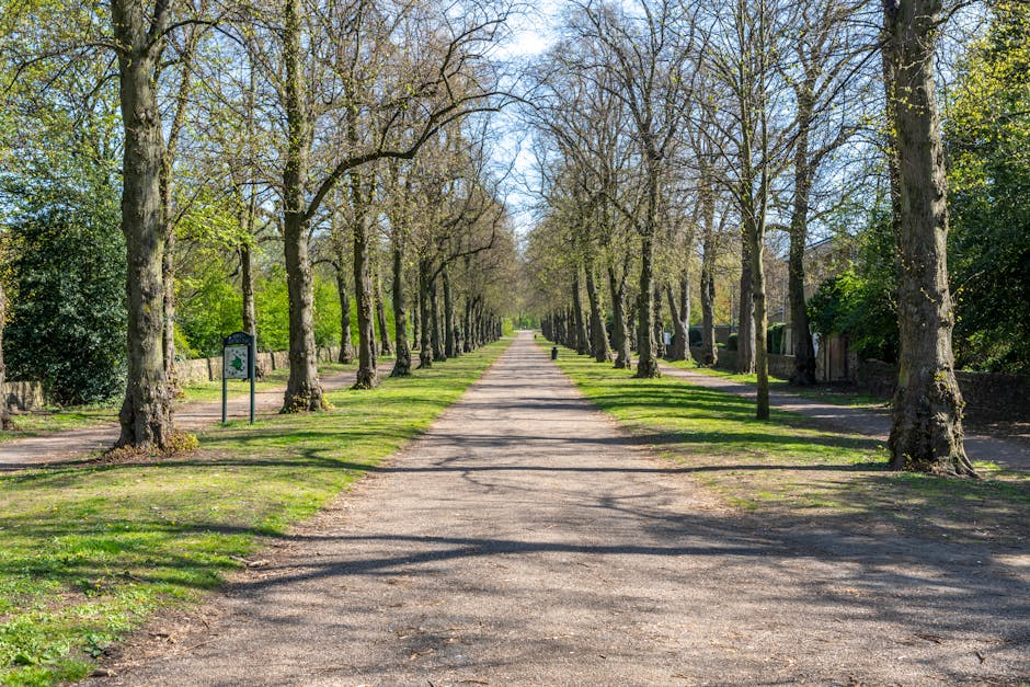 A brick and wrought iron gate opens onto a gently curving cobblestone driveway lined with well-maintained green hedges and mature trees with leaves turning orange and yellow, indicating autumn. The dr